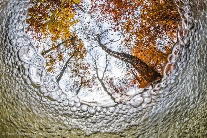 Все победители фотоконкурса «Wildlife Photographer of the Year 2013»