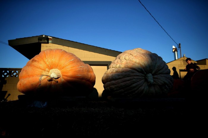 Jubilee World Pumpkin Weighing Championship