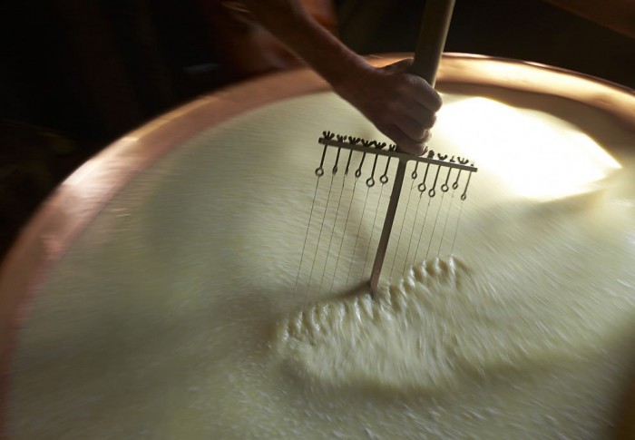 One season with Swiss cheesemakers