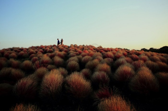 Фотоконкурс «National Geographic Photography Contest 2013» (часть вторая)