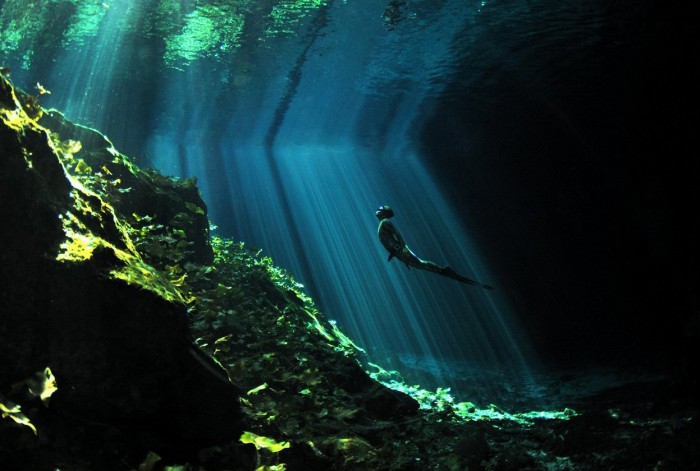 Фотоконкурс & laquo; National Geographic Photography Contest 2013 & raquo; (частина друга)