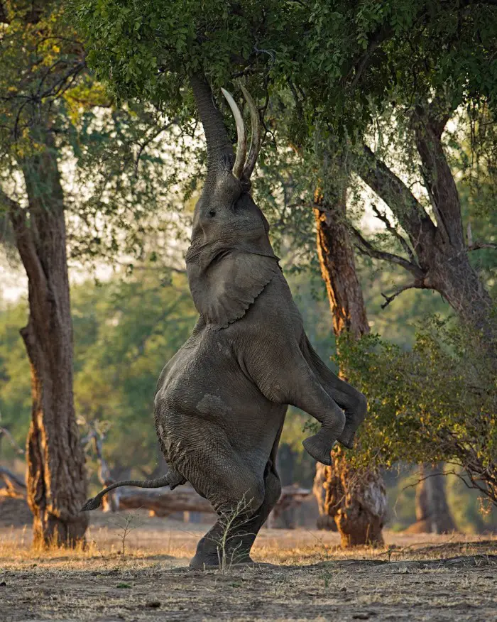 Фотоконкурс «National Geographic Photography Contest 2013» (часть вторая)