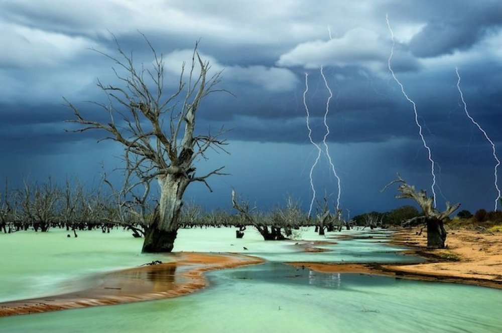 Всі переможці фотоконкурсу & laquo; National Geographic Photo Contest 2013 & raquo;