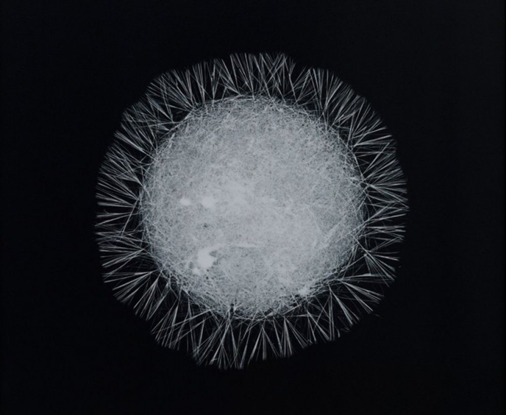 Narcotic substances under the microscope