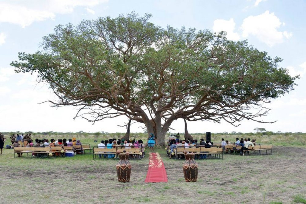 Safari-wedding in Zimbabwe