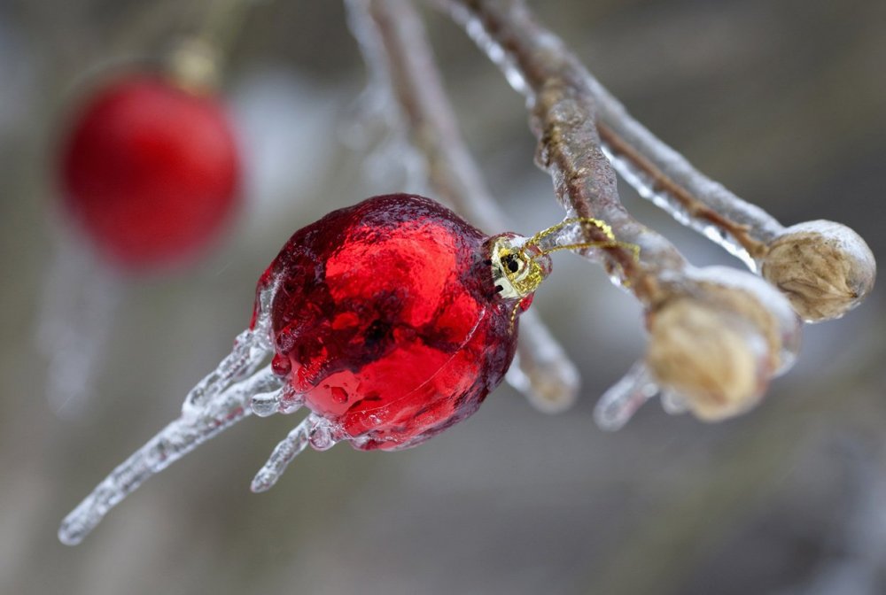 Ice Christmas in Canada