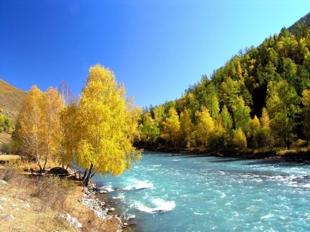 The enchanting beauty of the Kanas Nature Reserve