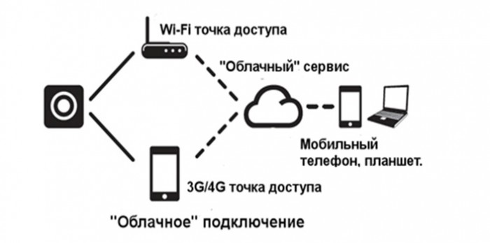 Удивительные вещи, которые можно увидеть на дороге