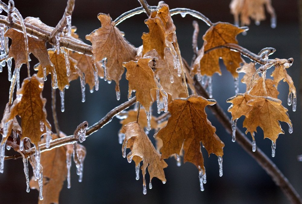 Ice Christmas in Canada