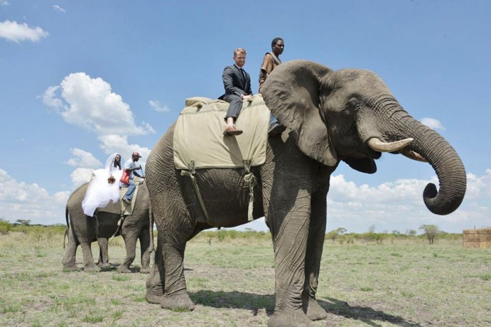 Safari-wedding in Zimbabwe