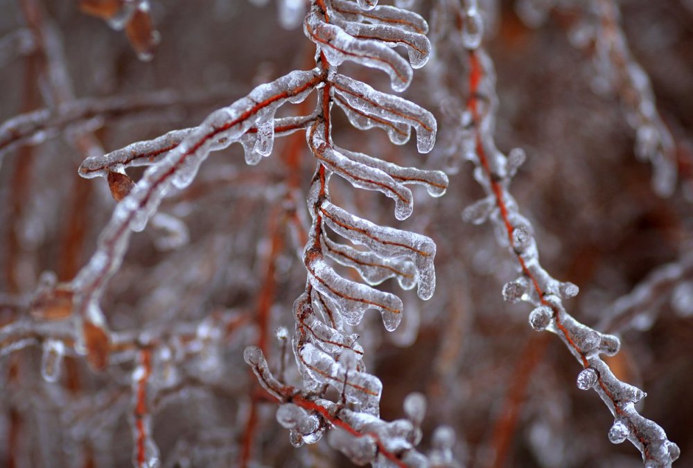 Ice Christmas in Canada