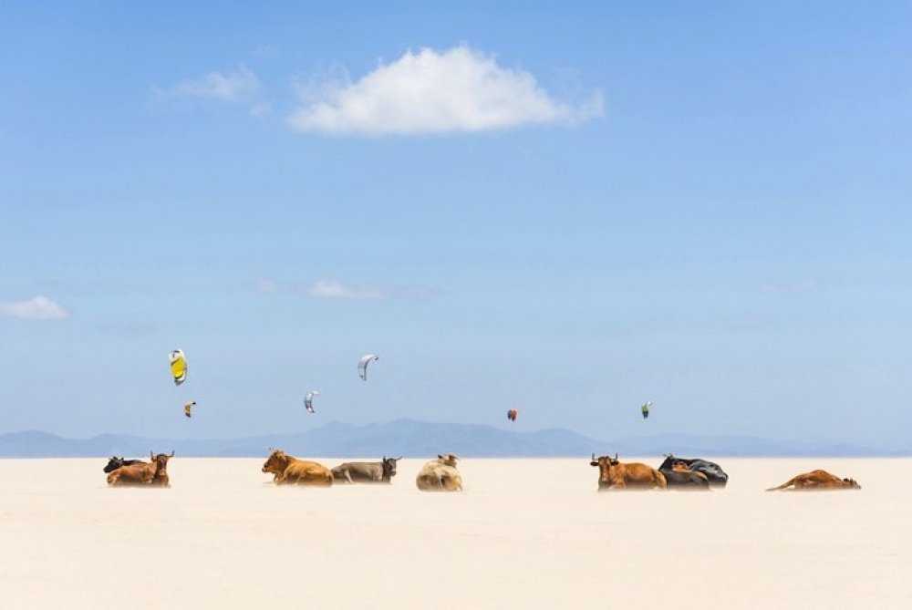 Всі переможці фотоконкурсу & laquo; National Geographic Photo Contest 2013 & raquo;