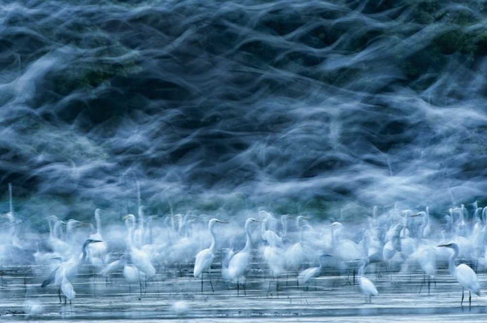 Всі переможці фотоконкурсу & laquo; National Geographic Photo Contest 2013 & raquo;