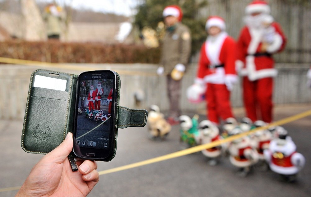 Christmas penguins in South Korea