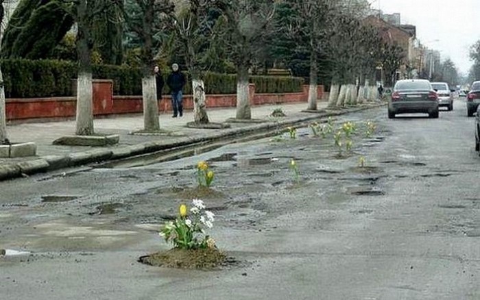 Дивні речі, які можна побачити на дорозі