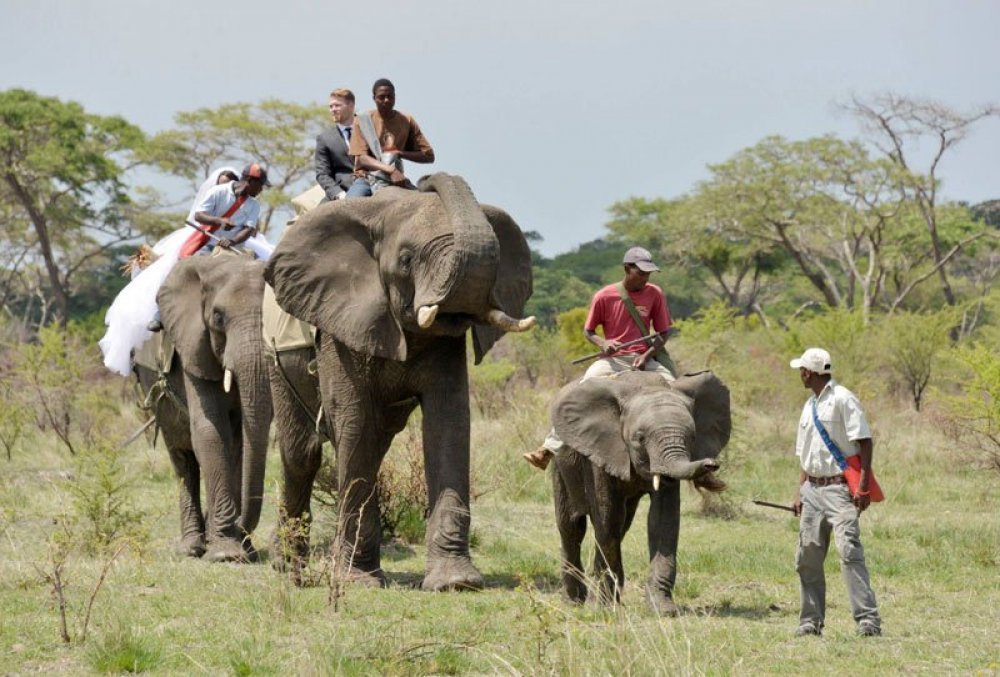 Safari-wedding in Zimbabwe