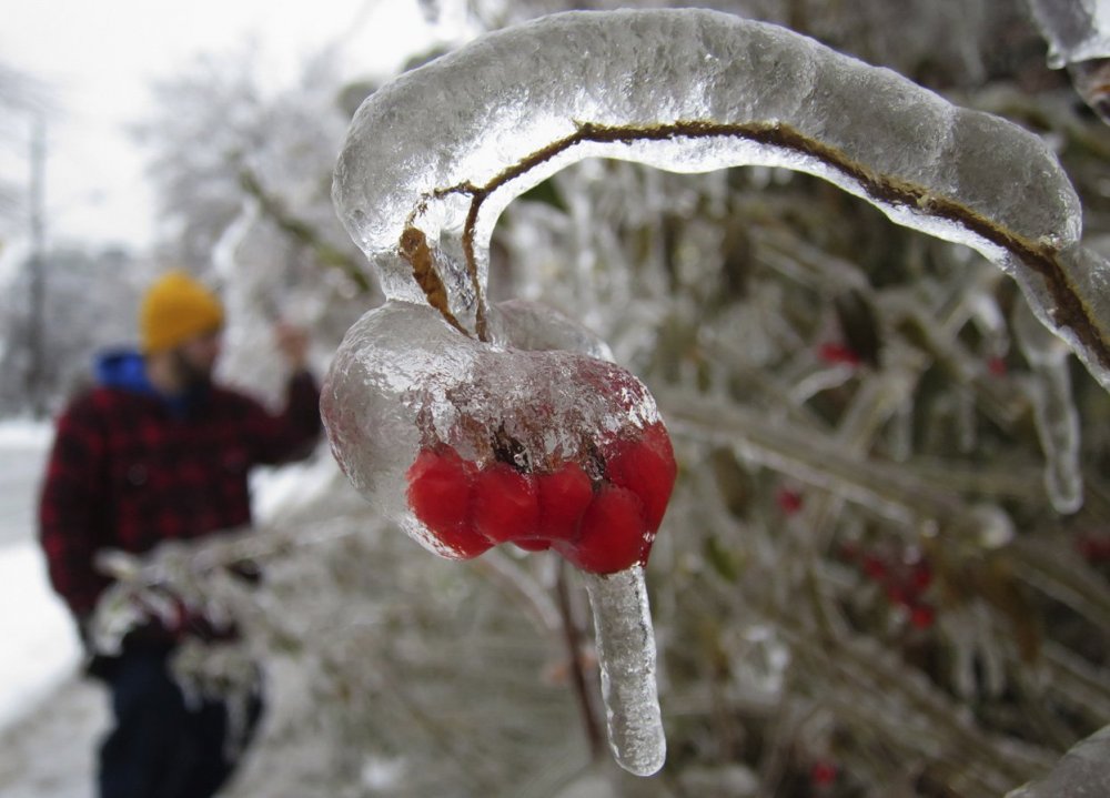 Ice Christmas in Canada