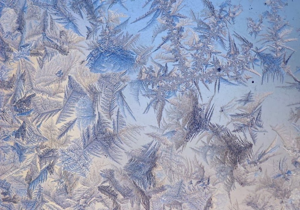 Frost on the glass: floral patterns