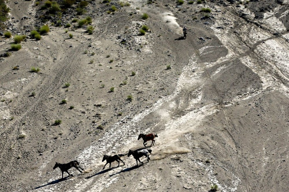 Rally & Dakar 2014 & raquo;