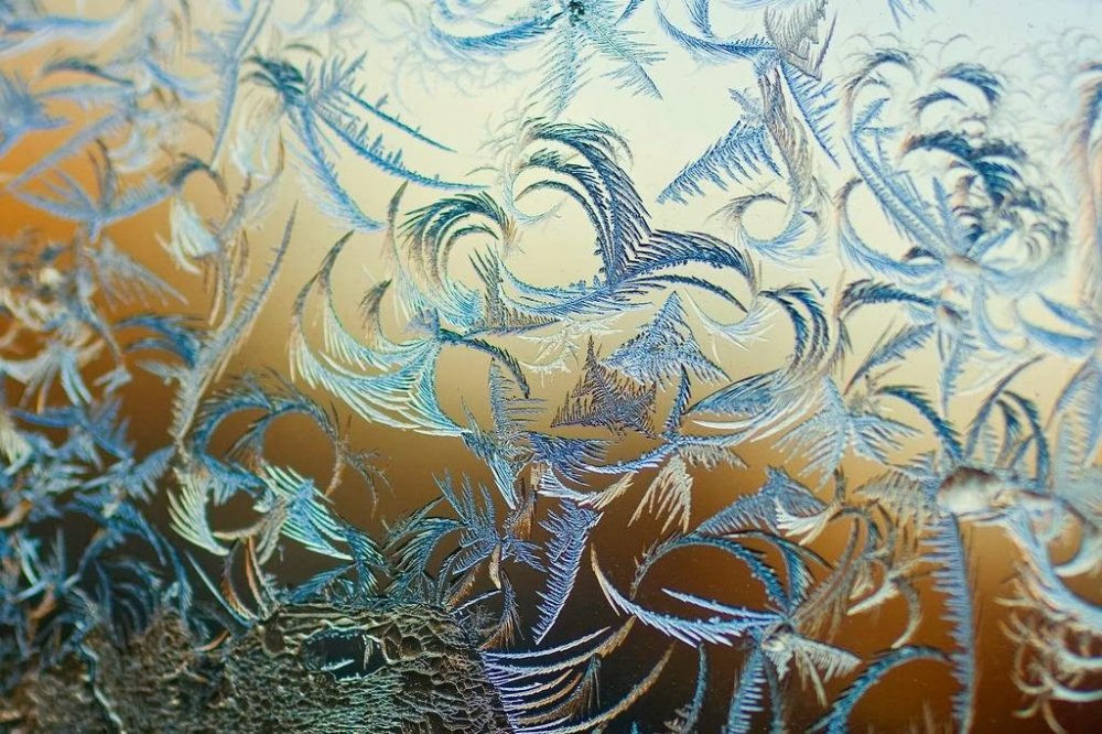 Frost on the glass: flower patterns