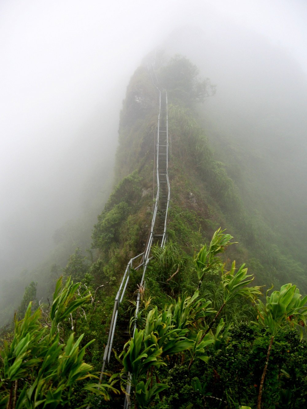 Four thousand steel steps to the Hawaiian panoramas