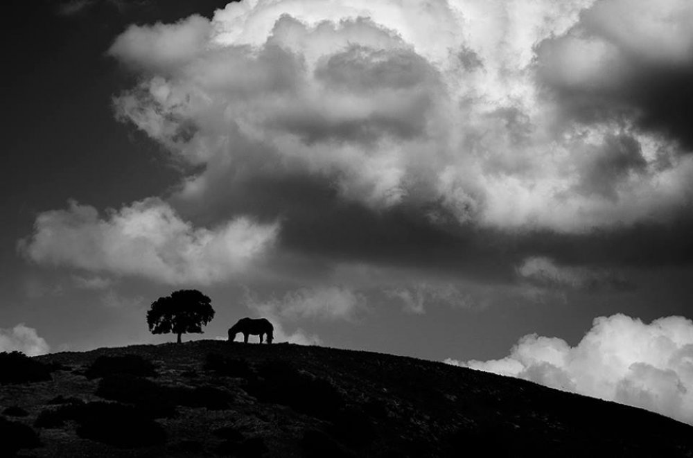 Thoughtful black and white