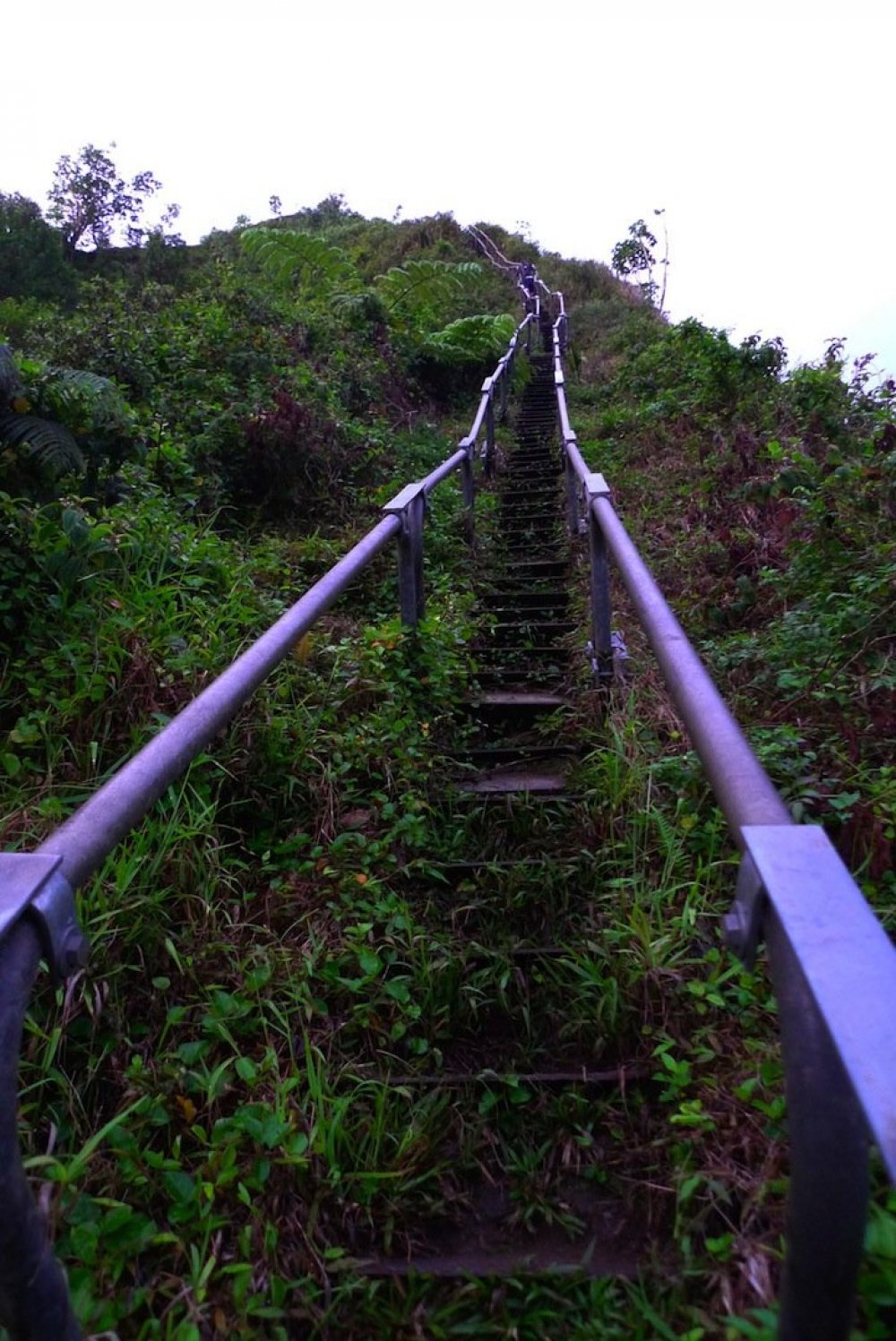 Four thousand steel steps to the Hawaiian panoramas