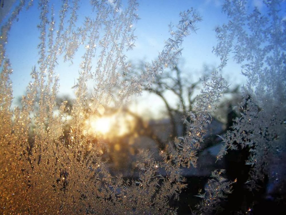 Frost on the glass: flower patterns