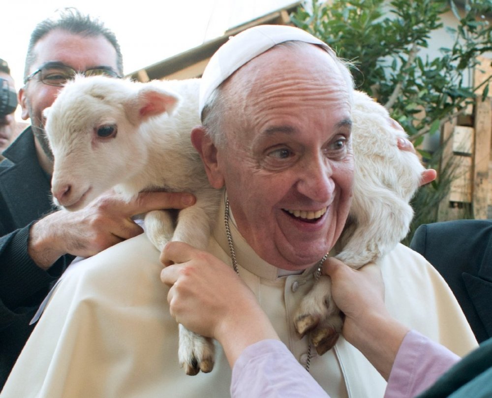 Животные в новостях: лемуры-счетоводы, обезьяньи спа-процедуры и как ягненок влез на шею Папе Римскому