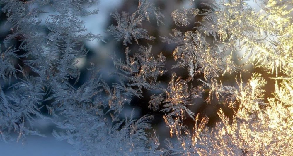 Frost on the glass: flower patterns