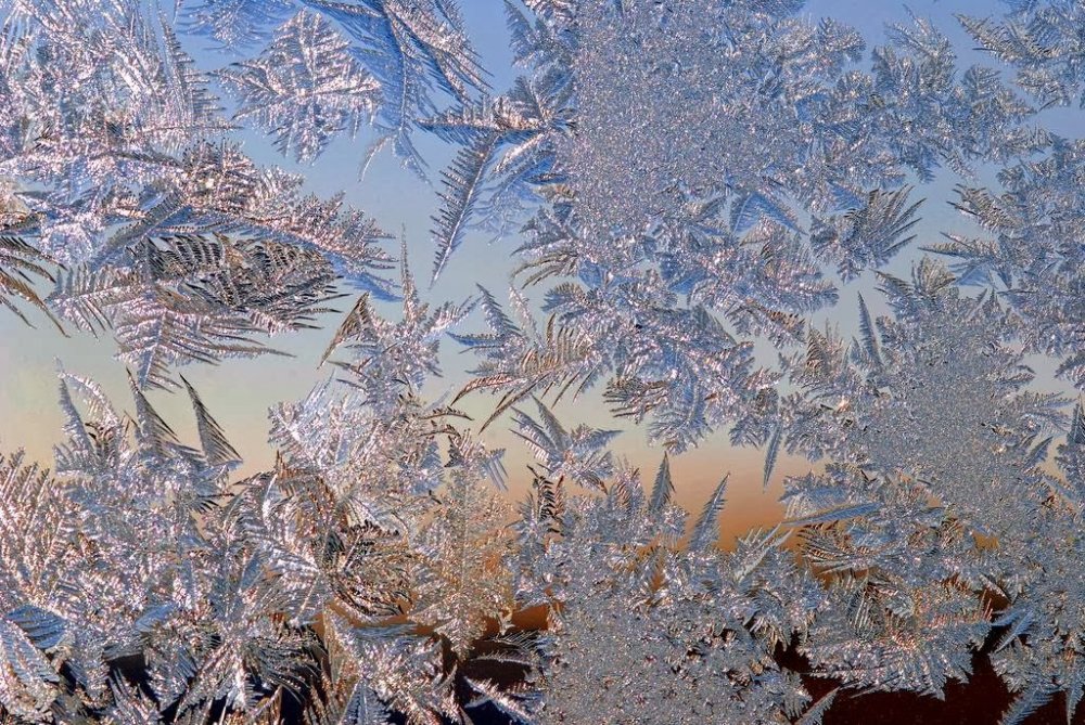 Frost on the glass: flower patterns