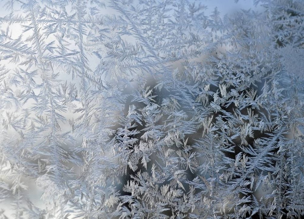  Frost on the glass: floral patterns