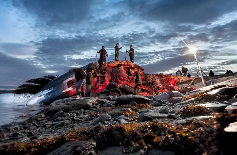 Лучшие работы фотоконкурса «Sony World Photography Awards 2014»