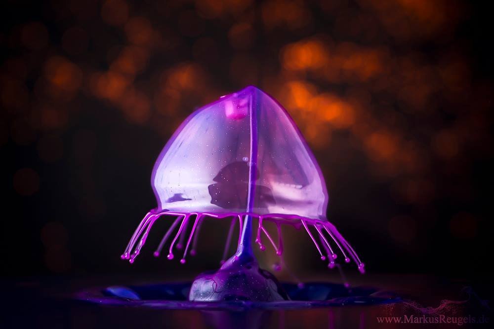 The invisible beauty of high-speed photography of drops