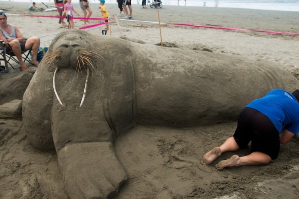 Sand competition at the sand castle competition