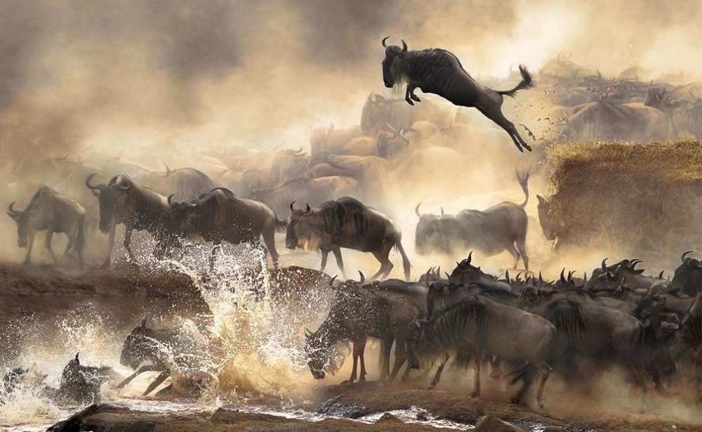 Лучшие работы фотоконкурса «Sony World Photography Awards 2014»