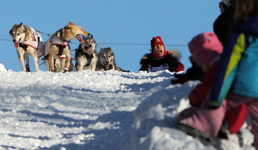 Щорічні перегони на собачих упряжках & laquo; Iditarod Trail Dog Race 2014 & raquo;