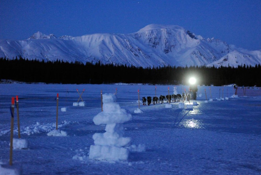 Щорічні перегони на собачих упряжках & laquo; Iditarod Trail Dog Race 2014 & raquo;