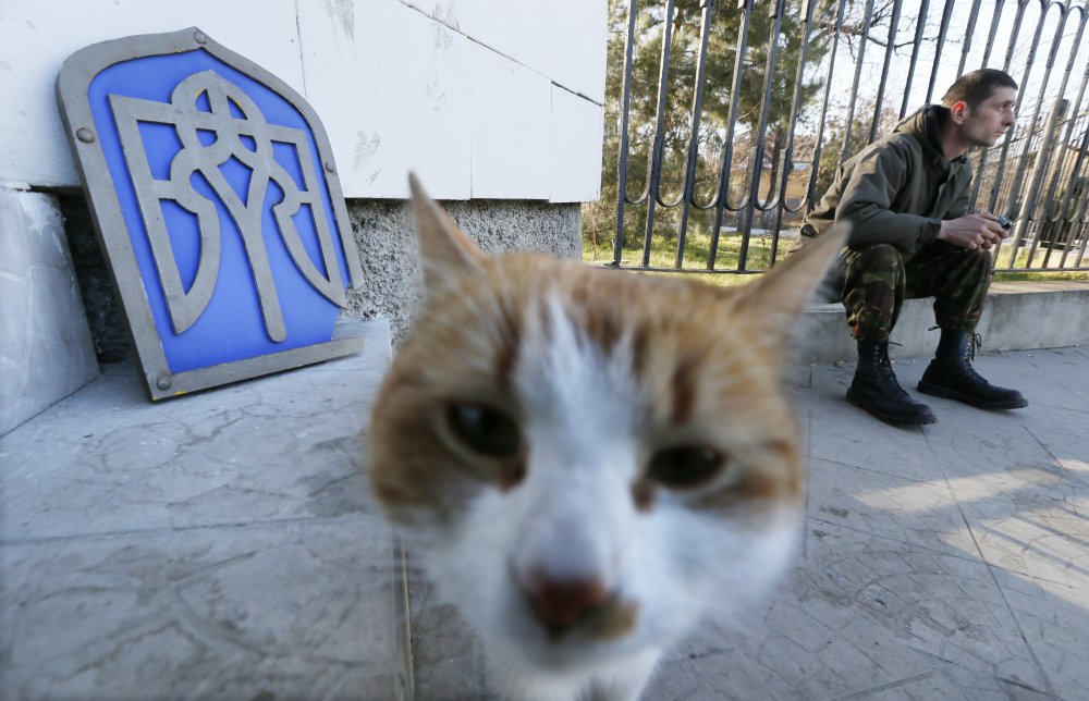 Тварини в новинах: радісна корова, гра зі зміями і герцогиня з вовкодавом