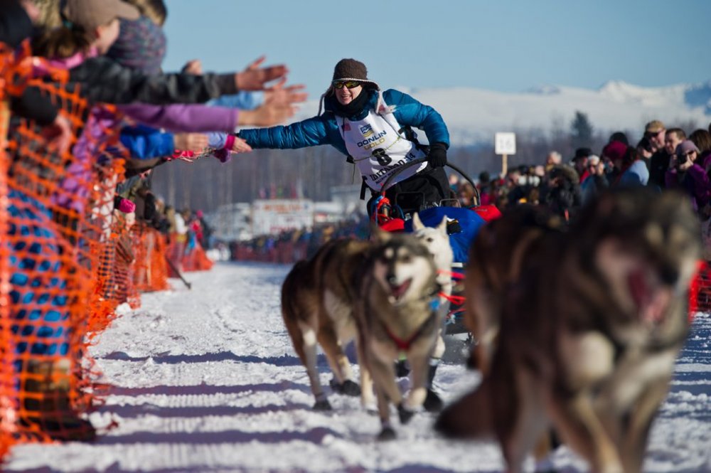 Щорічні перегони на собачих упряжках & laquo; Iditarod Trail Dog Race 2014 & raquo;