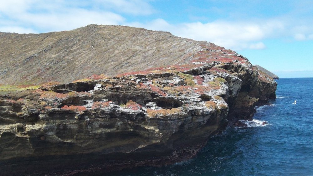 Bainbridge Rokas is an unusual island with a crater in the Galapagos archipelago