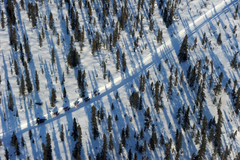 Ежегодные гонки на собачьих упряжках «Iditarod Trail Dog Race 2014»