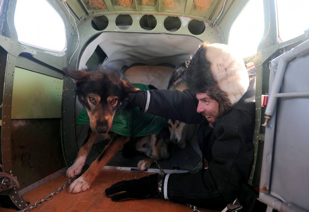 Щорічні перегони на собачих упряжках & laquo; Iditarod Trail Dog Race 2014 & raquo;