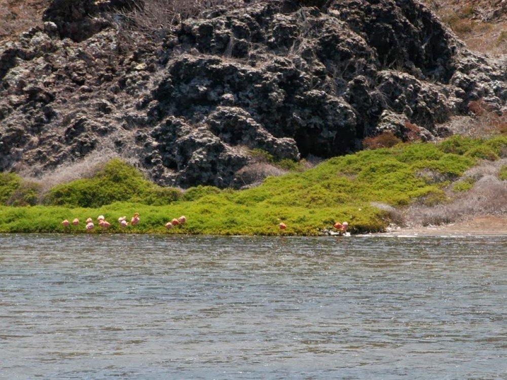 Bainbridge Rokas & unusual island with a crater in the Galapagos archipelago