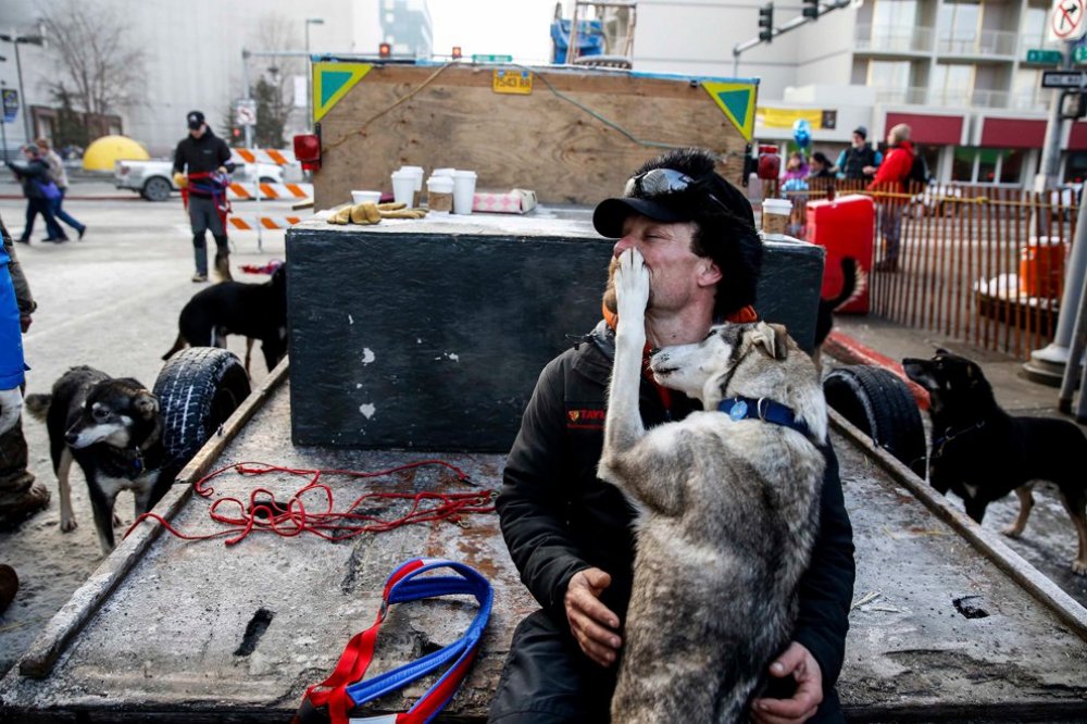 Ежегодные гонки на собачьих упряжках «Iditarod Trail Dog Race 2014»