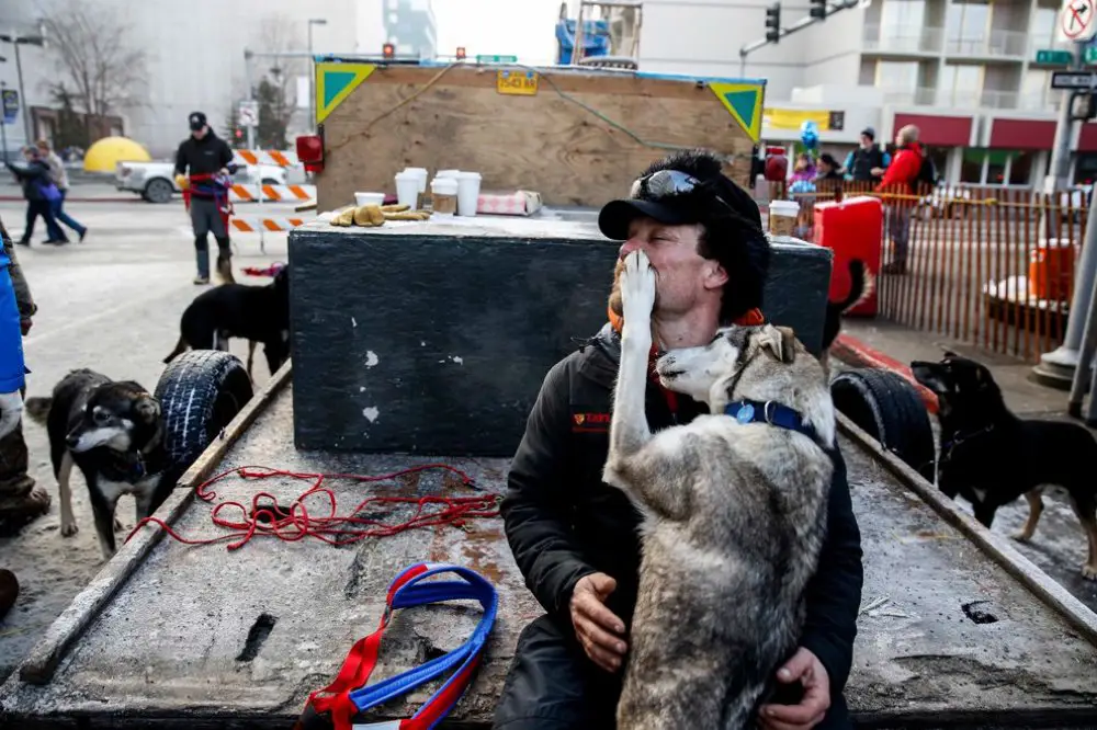 Ежегодные гонки на собачьих упряжках «Iditarod Trail Dog Race 2014»