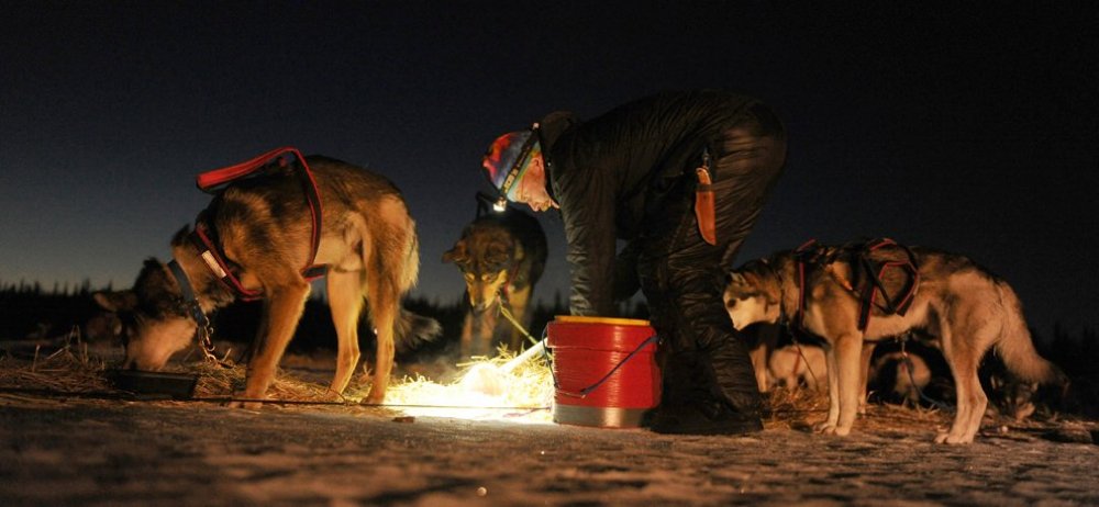 Annual Dog Sled Race & Iditarod Trail Dog Race 2014 & raquo;