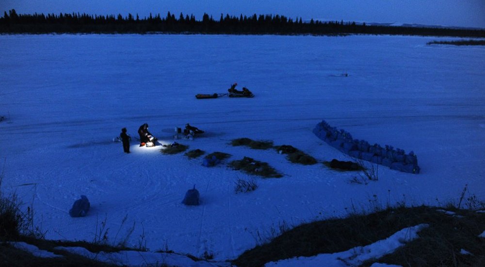 Ежегодные гонки на собачьих упряжках «Iditarod Trail Dog Race 2014»