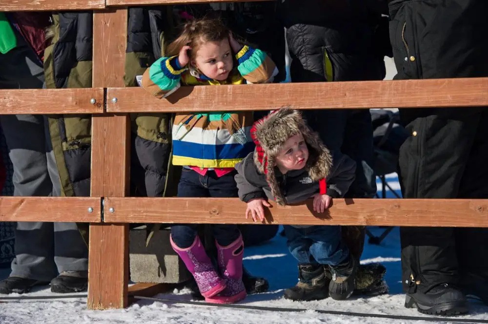 Ежегодные гонки на собачьих упряжках «Iditarod Trail Dog Race 2014»
