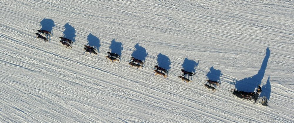 Ежегодные гонки на собачьих упряжках «Iditarod Trail Dog Race 2014»